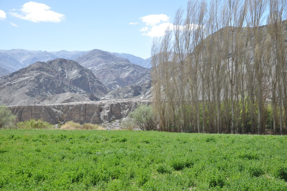 Paisaje El Chinguillo